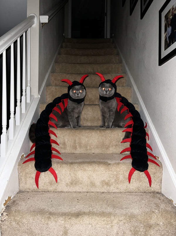 Two cats in matching centipede costumes sitting side by side on a stair